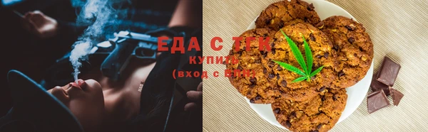 индика Заводоуковск