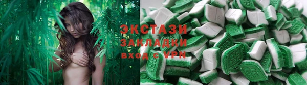 индика Заводоуковск