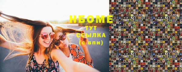 индика Заводоуковск