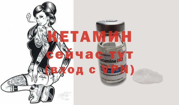индика Заводоуковск