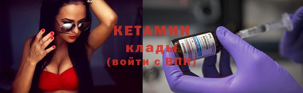 индика Заводоуковск