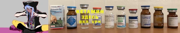 индика Заводоуковск