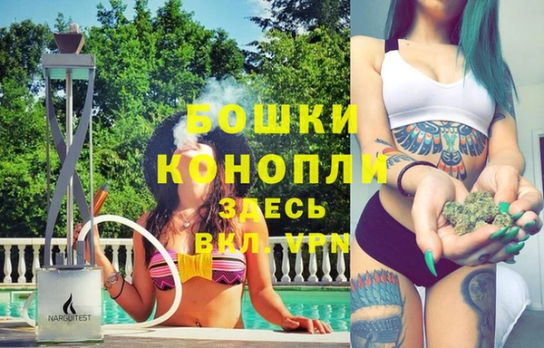 индика Заводоуковск