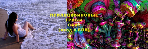 индика Заводоуковск