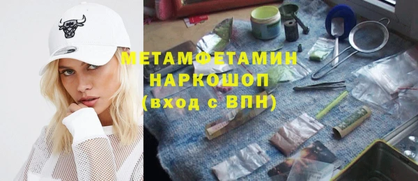 индика Заводоуковск