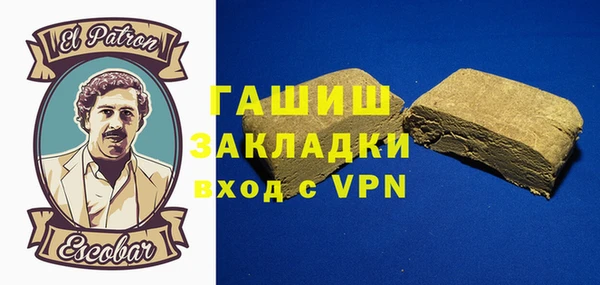 индика Заводоуковск