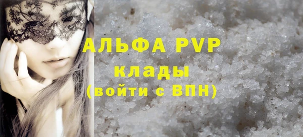 индика Заводоуковск