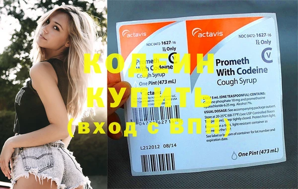 индика Заводоуковск